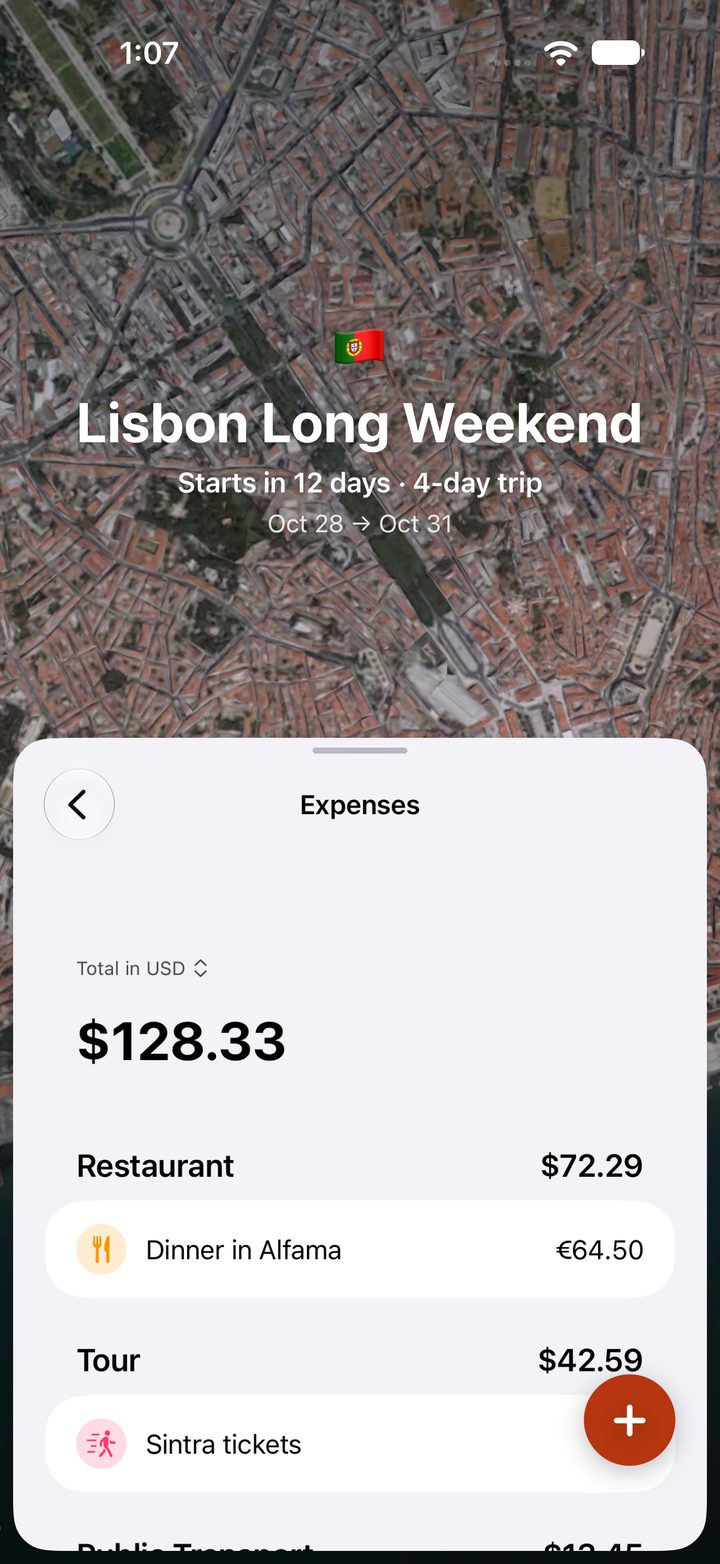 Trip expenses converted to one currency